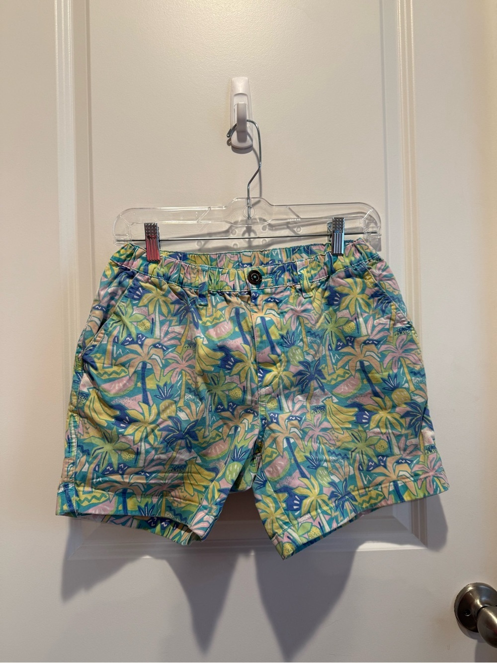 Chubbies Tropical Palm Print Stretch Shorts Men’s Small Blue Green Pink